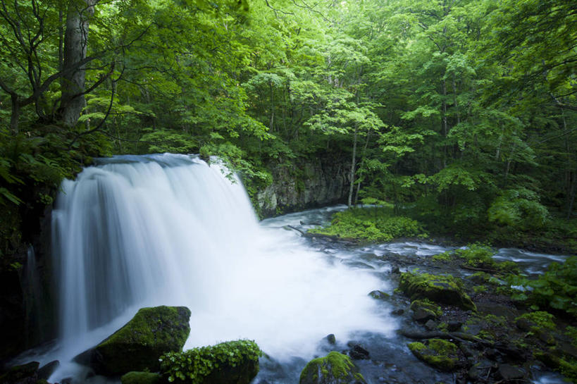 无人,横图,室外,白天,旅游,度假,美景,瀑布,水,日本,景观,娱乐,树,绿色,风景,自然,享受,休闲,景色,放松,摄影,流动,宁静,自然风光,青森县,十和田,彩图,旅行