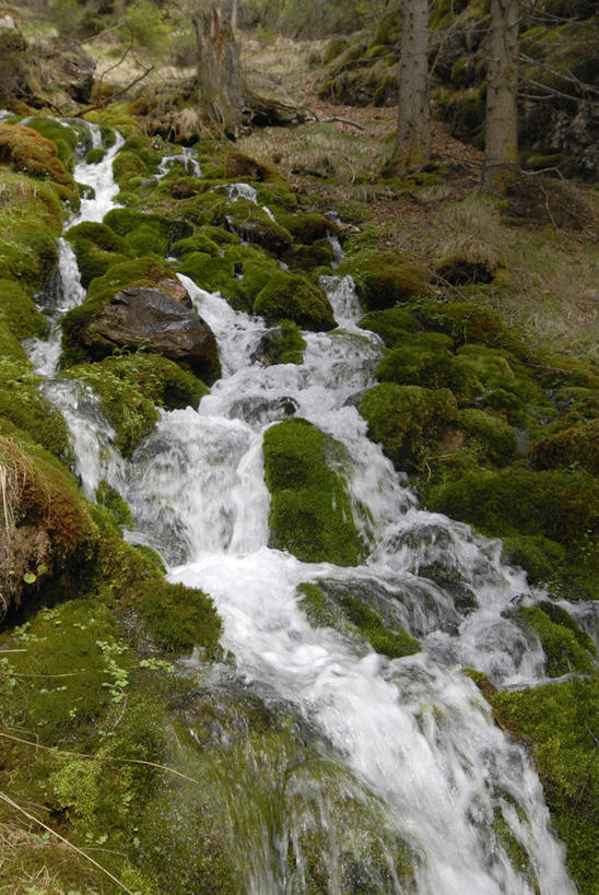 无人,竖图,室外,白天,旅游,度假,美景,瀑布,意大利,欧洲,地形,景观,青苔,苔藓,南,图像,娱乐,风景,小溪,自然,享受,休闲,景色,放松,摄影,流动,宁静,运河,自然风光,岩石,彩图