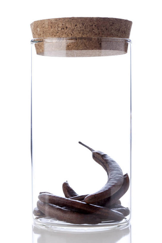 无人,竖图,留白,白色背景,静物,玻璃,北京,中国,亚洲,堆叠,反射,材料,瓷器,草药,药草,软木塞,传统,自然,瓶子,干花,瓶盖,摄影,有机食品,堆,简单,草本,中国文化,干的,中医,东亚,替代疗法,彩图,影棚拍摄,传统文化,皂角,成分