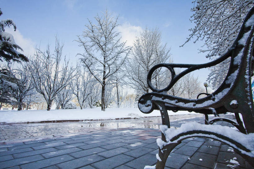 无人,公园,横图,室外,白天,美景,树林,雪,路,椅子,北京,中国,亚洲,覆盖,长椅,景观,冬天,人行道,树,蓝色,风景,天空,自然,景色,寒冷,冷,摄影,自然风光,东亚,万里无云,朝阳区,彩图,林荫大道,红领巾公园