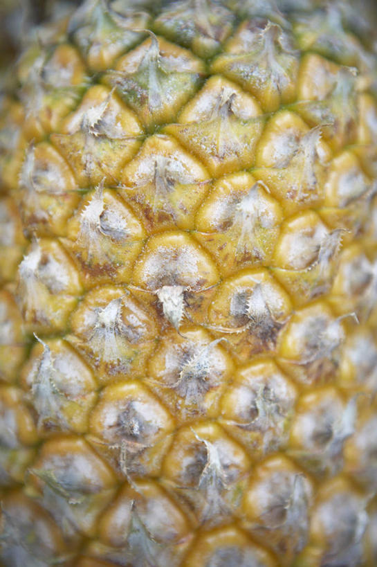 无人,竖图,正面,水果,北京,中国,美味,摄影,东亚,彩图