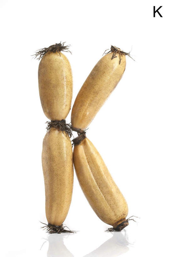 白色背景,农作物,蔬菜,静物,英文,标志,材料,文字,字符,字母,生食,食品,根部,标识,饮食,自然,概念,摄影,有机食品,英文字母,清新,健康食物,莲藕,彩图