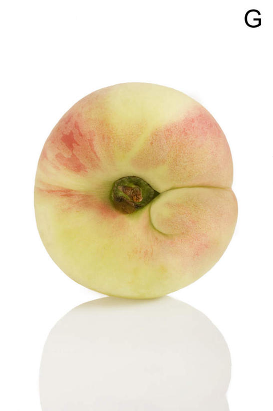 白色背景,农作物,静物,水果,英文,标志,材料,文字,字符,字母,生食,食品,标识,饮食,自然,概念,桃,摄影,有机食品,英文字母,清新,健康食物,彩图