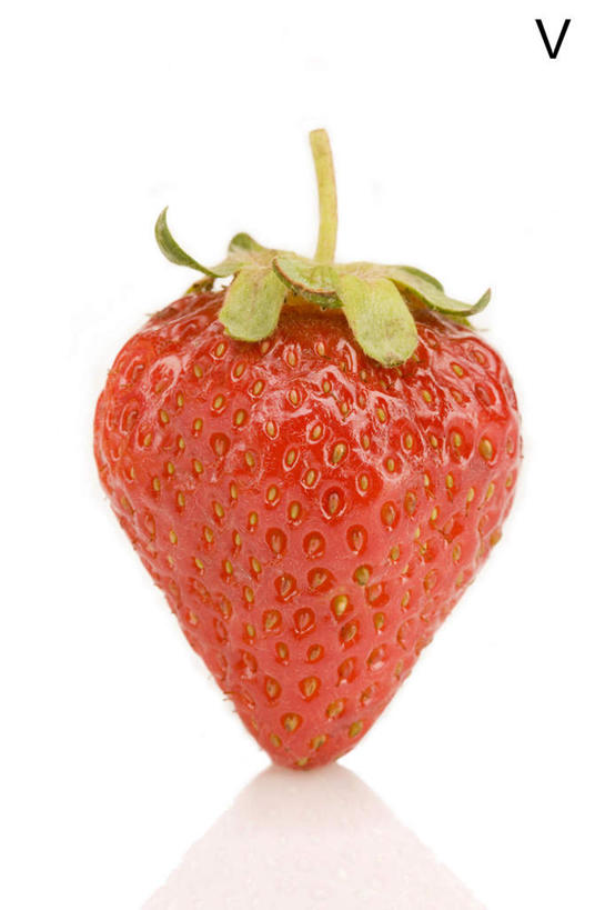 白色背景,农作物,草莓,浆果,静物,水果,英文,标志,材料,文字,字符,字母,生食,食品,标识,饮食,红色,自然,概念,摄影,有机食品,英文字母,清新,健康食物,彩图