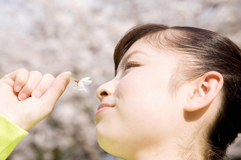 东方人,少年,一个人,微笑,室外,植物,樱花,亚洲,花瓣,春天,香水,女孩,女人,亚洲人,年轻人,彩图