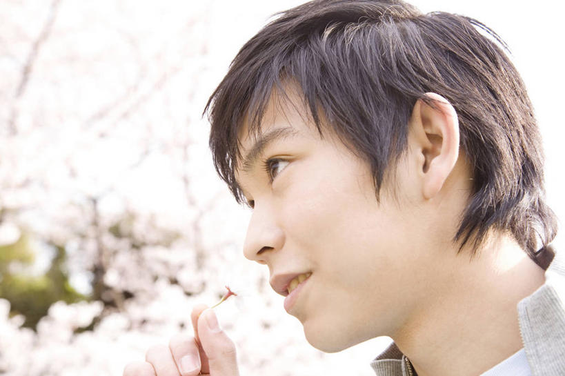 东方人,少年,一个人,微笑,室外,植物,樱花,亚洲,花瓣,春天,香水,男孩,男人,男性,亚洲人,年轻人,彩图