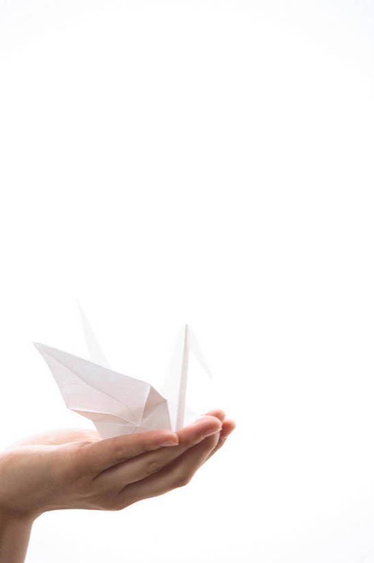 东方人,室外,亚洲,鹤,自然,生活方式,环境,环境保护,女人,亚洲人,年轻人,彩图