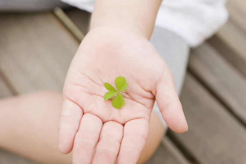 东方人,儿童,一个人,公园,室外,自然,环境,肖像,环境保护,女孩,女人,亚洲人,彩图