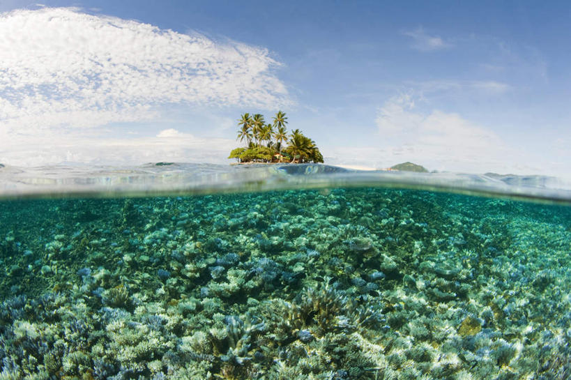 水下,海洋,棕榈树,密克罗尼西亚,亚洲,珊瑚,地形,水面,风景,天空,热带气候,暗礁,椰子树,彩图,沙岛