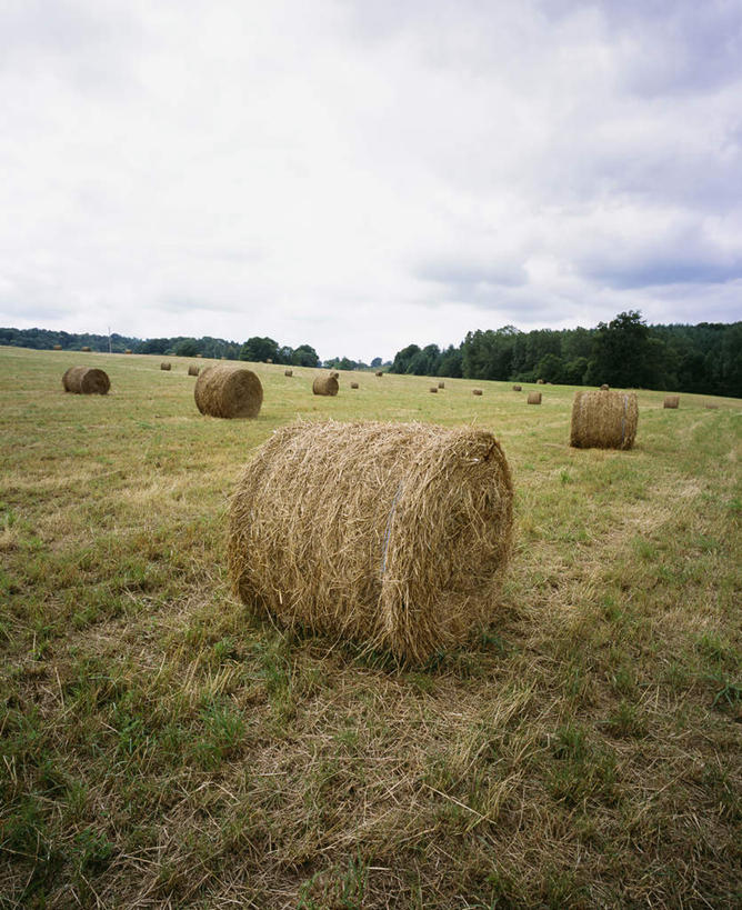 室外,美景,法国,欧洲,地形,景观,云,干草,风景,天空,自然,草垛,景色,收获,自然风光,利穆赞,干草垛,彩图