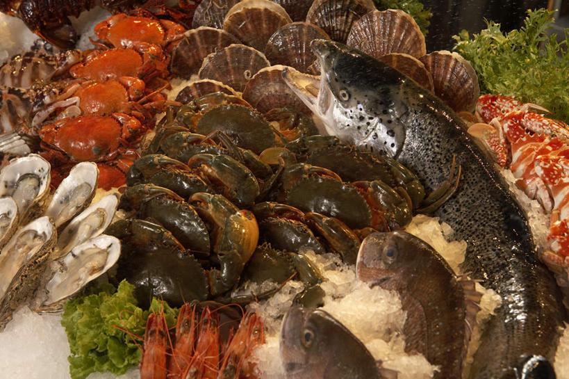 无人,横图,室内,特写,贝壳,北京,中国,亚洲,丰富,螃蟹,食品,牡蛎,扇贝,鱼类,饮食,摄影,主题,东亚,健康食物,贝类外壳,海螺壳,软体动物外壳,海产,彩图