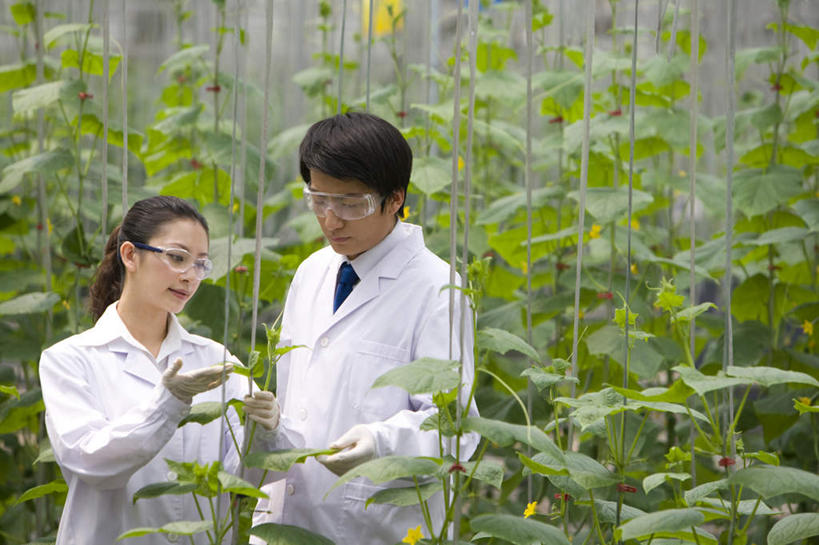 东方人,两个人,科学家,菜园,农场,横图,白天,正面,智慧,农业,北京,中国,亚洲,种植,检查,研究,工作,分析,科学,领带,温室,现代,夏天,摄影,生长,护目镜,防护镜,东亚,实验服,科学实验,植物学家,男人,男性,年轻男性,年轻女性,女人,女性,亚洲人,中国人,年轻人,技术员,半身,彩图