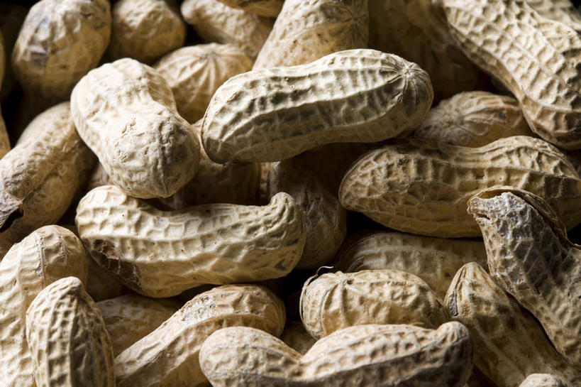 无人,横图,俯视,室内,特写,花生,静物,许多,丰富,食品,坚果,很多,饮食,摄影,堆,简单,健康食物,纯净,彩图,高角度拍摄,影棚拍摄