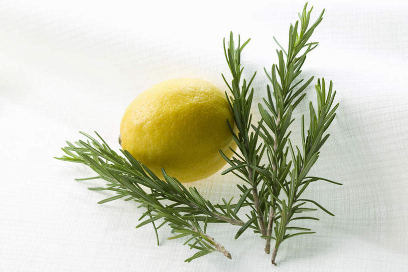 无人,横图,室内,白色背景,桌子,柠檬,静物,食品,饮食,两个,黄色,摄影,迷迭香,简单,草本,清新,柑橘属,健康食物,纯净,彩图