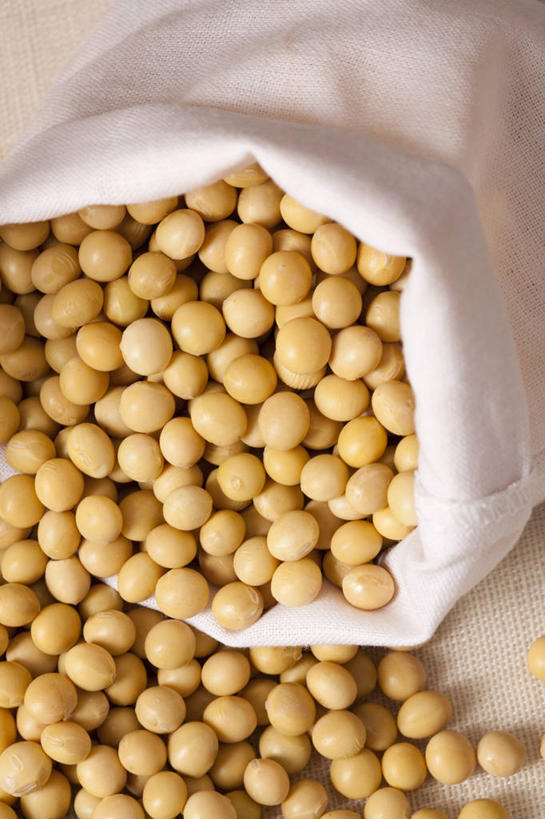 无人,竖图,特写,豆,静物,许多,食品,很多,饮食,素食,清新,健康食物,彩图