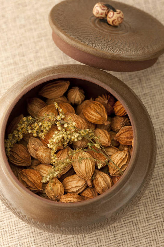 无人,竖图,特写,留白,静物,许多,香料,食品,很多,饮食,彩图,砂仁