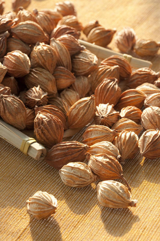 无人,竖图,特写,留白,静物,许多,香料,食品,很多,饮食,彩图,砂仁