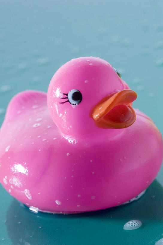 无人,竖图,俯视,室内,特写,白天,游戏,静物,玩具,阴影,反射,鸭子,影子,玩,娱乐,一只,粉色,休闲,橡胶,益智,活动,发泄,消遣,智力,橡胶制品,宣泄,橡胶小鸭,橡皮小鸭,玩耍,嬉戏,彩图,高角度拍摄