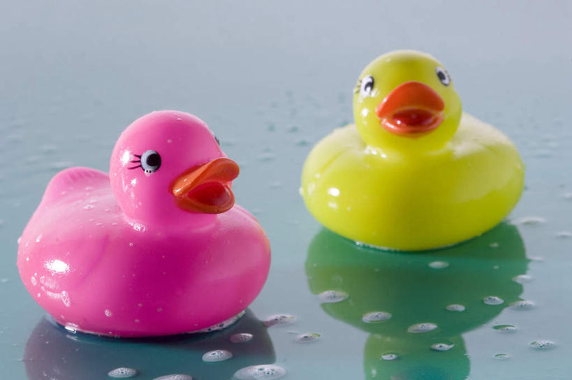 无人,横图,俯视,室内,特写,白天,游戏,静物,玩具,阴影,反射,鸭子,影子,玩,娱乐,粉色,黄色,两只,休闲,橡胶,益智,活动,发泄,消遣,智力,橡胶制品,宣泄,橡胶小鸭,橡皮小鸭,玩耍,嬉戏,彩图,高角度拍摄