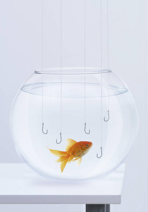 游泳,无人,竖图,室内,白天,侧面,桌面,桌子,一条,阴影,反射,木制,金鱼,鱼,影子,鱼类,木制品,浴缸,橙色,卫浴设备,观赏鱼,金鲫鱼,泅水,拍浮,水管装置,彩图,全身