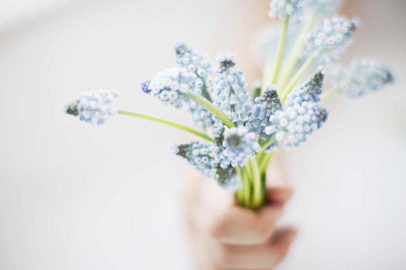 西方人,手,一个人,横图,俯视,室外,特写,白天,爱情,欧洲,欧洲人,仅一个年轻女性,仅一个女性,仅一个人,握,阴影,朦胧,模糊,盛开,反射,影子,拿,花蕾,拿着,花,花瓣,花朵,鲜花,花苞,花蕊,手部,握着,单手,悲伤,忧郁,蓝壶花,蓝瓶花,葡萄百合,葡萄风信子,葡萄麝香兰,葡萄水仙,妒忌,年轻女性,女人,女性,白种人,半身,彩图,高角度拍摄