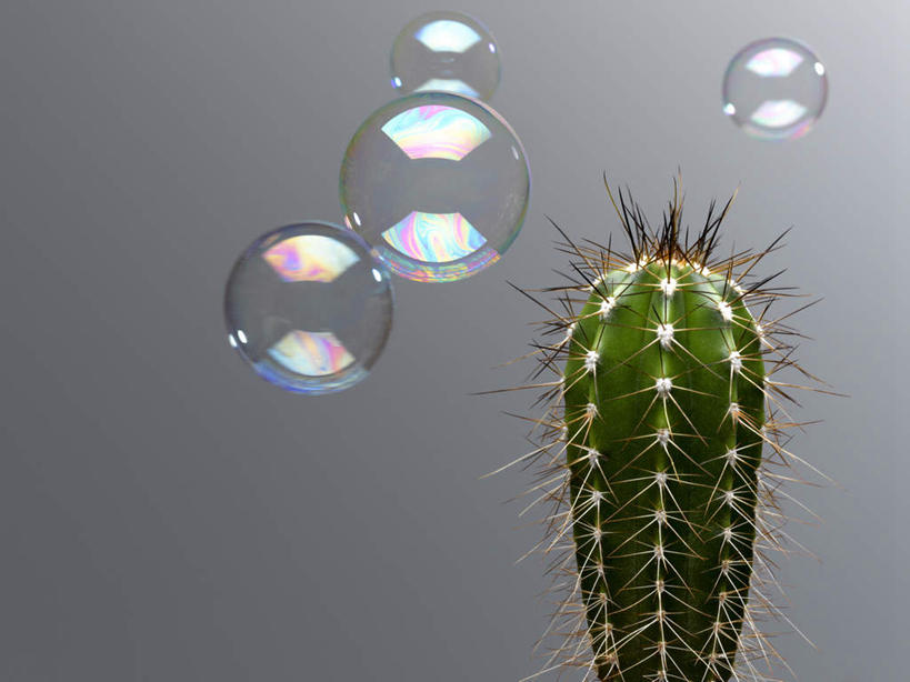 无人,横图,彩色,室内,特写,白天,正面,植物,仙人掌,阴影,灰色背景,反射,火焰,影子,草药,中药,一个,泡泡,四个,摄影,影棚,单个,药材,中草药,中药材,本草,牛舌头,玉芙蓉,仙巴掌,火掌,霸王树,彩图,影棚拍摄,拍摄