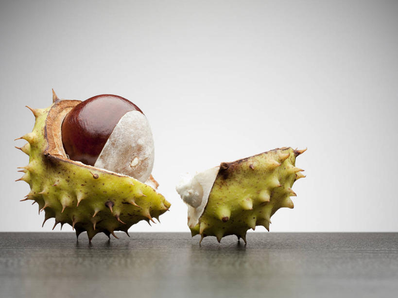 无人,横图,室内,特写,白天,白色背景,正面,餐桌,桌子,水果,阴影,新鲜,反射,影子,生食,食品,果实,刺角瓜,非洲角瓜,食物,两个,摄影,有机食品,绿色食品,影棚,餐台,横截面,剖面,七叶树,娑罗树,非洲黄瓜,非洲角黄瓜,截面,截面图形,彩图,影棚拍摄,拍摄