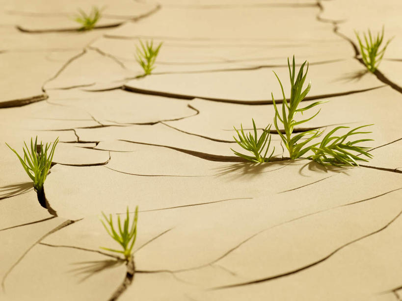 无人,横图,俯视,室外,特写,白天,旅游,度假,草地,美景,植物,加拿大,破碎,龟裂,景观,泥土,土壤,自然灾害,娱乐,草,绿色,自然,享受,休闲,景色,放松,北美,碎裂,北美洲,干旱,破裂,灾难,自然风光,美洲,分裂,北亚美利加洲,亚美利加洲,卑诗省,不列颠哥伦比亚,不列颠哥伦比亚省,劫难,磨难,灾祸,萨里市,彩图,高角度拍摄,灾害,决裂