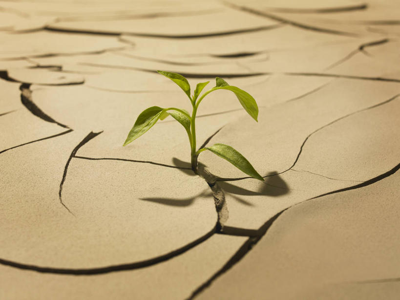 无人,横图,俯视,室外,特写,白天,美景,植物,英国,欧洲,阴影,环保,朦胧,模糊,光线,影子,景观,土地,发芽,自然灾害,破坏,英格兰,破损,绿色,阳光,自然,景色,生长,能源,成长,损坏,回收,资源,干旱,西欧,灾难,自然风光,大不列颠,利用,低碳,循环,大不列颠及北爱尔兰联合王国,地盘,大不列颠联合王国,日不落英帝国,持续,劫难,磨难,灾祸,地皮,萨里,萨里郡,彩图,高角度拍摄,灾害