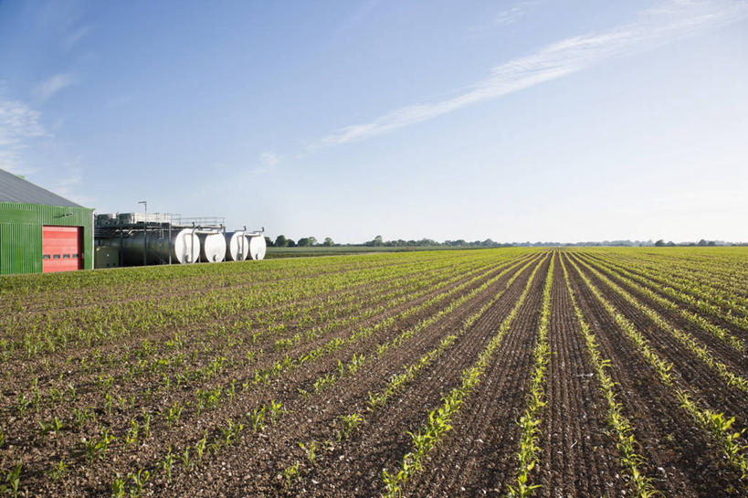 无人,农田,横图,室外,白天,正面,旅游,度假,庄稼,农作物,美景,植物,英国,欧洲,阴影,光线,影子,地平线,景观,云,云朵,辽阔,地面,云彩,仓库,娱乐,英格兰,树,树木,蓝色,绿色,白云,蓝天,天空,阳光,自然,容器,天,享受,休闲,广阔,油罐,储油罐,景色,放松,生长,晴朗,成长,储藏,一望无际,西欧,储存,自然风光,延伸,大不列颠,大不列颠及北爱尔兰联合王国,天地相交,大不列颠联合王国,日不落英帝国,无边无际,一马平川,萨塞克斯,萨塞克斯郡,苏塞克斯,西萨塞克斯郡,奇切斯特,存油罐,贮油罐,晴空,彩图,耕地,庄稼田,贮存,堆栈