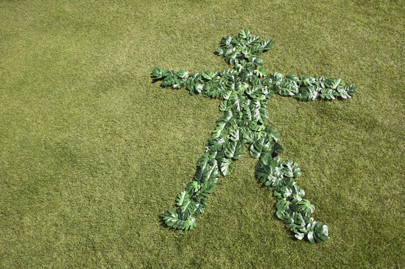 无人,伸展双臂,横图,俯视,室外,白天,草地,草坪,植物,叶子,许多,阴影,环保,光线,影子,绿叶,很多,表面,草,绿色,阳光,嫩叶,能源,轮廓,回收,资源,利用,低碳,循环,持续,叶,叶片,敞开双臂,伸开双臂,展开双肩,张开手臂,张开双臂,彩图,高角度拍摄