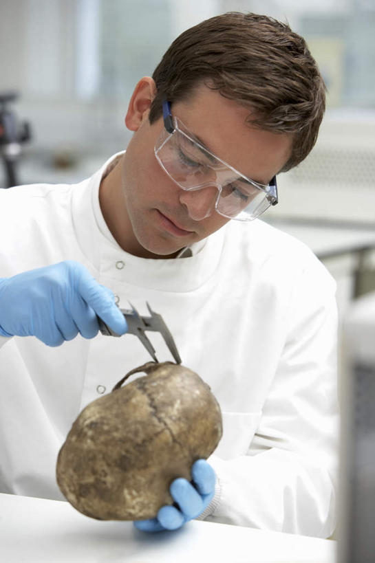 西方人,骨骼,一个人,科学家,坐,竖图,室内,白天,正面,工作服,制服,安全,生活用品,桌子,欧洲,欧洲人,仅一个男性,仅一个人,仅一个中年男性,握,朦胧,模糊,测量,器材,头骨,眼镜,刻度,办公桌,实验室,研究室,防护,骨头,拿,拿着,注视,手套,低头,观察,看,橡胶,握着,观看,测量工具,护目镜,保护,快速,骨架,察看,准确,科研人员,关注,精度,精准,保险,研究者,橡胶手套,橡胶制品,试验室,物理,科学研究者,医用手套,量具,量仪,保全,周全,安稳,安定,安全防护眼镜,工作制服,直径,厚度,卡规,平安,男人,男性,中年男性,白种人,科学工作者,坐着,半身,彩图,工作套服,防护眼镜