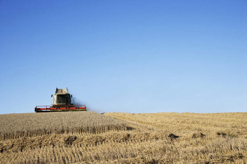 无人,农田,横图,室外,白天,仰视,旅游,度假,农业,庄稼,农作物,收割,小麦,美景,阴影,丰收,光线,工具,影子,稻田,地平线,景观,辽阔,谷物,地面,娱乐,蓝色,蓝天,天空,阳光,自然,天,享受,休闲,广阔,景色,放松,麦子,收获,晴朗,一望无际,自然风光,延伸,收割机,农具,万里无云,天地相交,无边无际,一马平川,脱粒,晴空,晴空万里,彩图,低角度拍摄,耕地,庄稼田