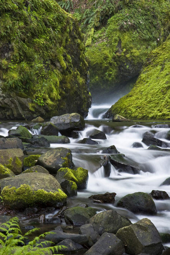 无人,竖图,室外,白天,正面,长时间曝光,旅游,度假,草地,草坪,河流,石头,美景,瀑布,山,山脉,水,植物,美国,飞溅,朦胧,模糊,溅,石子,液体,河水,景观,山峰,水滴,水流,山峦,娱乐,水珠,草,绿色,小溪,自然,群山,溪水,享受,休闲,景色,放松,北美,北美洲,喷洒,自然风光,美洲,曝光,俄勒冈州,沉积岩,俄勒冈,北亚美利加洲,亚美利加洲,落日之州,水獭之州,海狸州,水成岩,跌水,石块,岩石,彩图