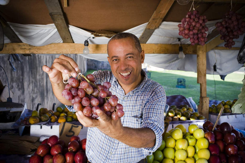 西方人,一个人,站,笑,微笑,露齿笑,横图,室外,白天,正面,衬衫,苹果,葡萄,水果,欧洲,欧洲人,仅一个男性,仅一个人,仅一个中年男性,一堆,堆叠,堆积,条纹,新鲜,摊位,生食,食品,果实,拿,拿着,注视,食物,粉色,红色,蓝色,绿色,黑色,青苹果,观察,看,站着,有机食品,绿色食品,观看,堆,察看,关注,男人,男性,中年男性,白种人,山葫芦,蒲桃,草龙珠,站立,半身,彩图,衬衣,短发