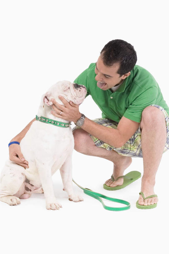 西方人,一个人,蹲,摸,竖图,室内,白天,白色背景,正面,T恤衫,宠物,狗,欧洲,欧洲人,仅一个男性,仅一个人,一条,抚摸,T恤,沙皮狗,注视,仅一个年轻男性,绿色,白色,动物,观察,看,可爱,摄影,影棚,观看,察看,关注,忠诚,沙皮,沙皮犬,男人,男性,年轻男性,白种人,犬,触摸,蹲着,接触,彩图,全身,影棚拍摄,拍摄