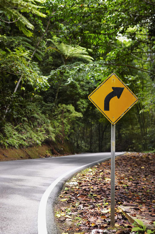 无人,竖图,室外,白天,正面,草地,草坪,树林,植物,道路,路,指示牌,阴影,光线,标志,影子,小路,弯道,交通,方向,箭头,草,树,树木,绿色,黑色,阳光,自然,生长,成长,指向,簇,彩图