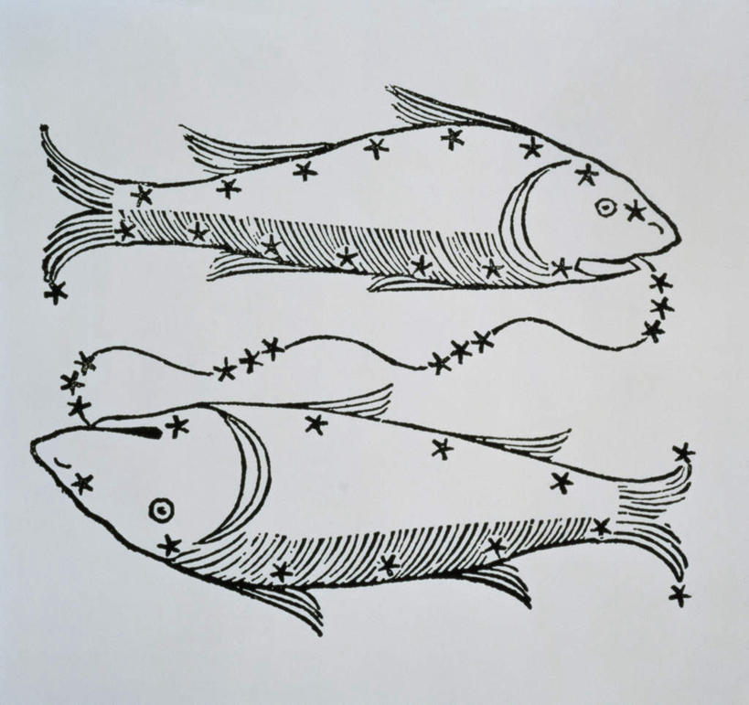 海鲜,无人,横图,黑白,插画,室内,白天,白色背景,正面,数码,科技,阴影,网络,鱼,高光,几何,计算机图形,合成,图画,水产,鱼类,海洋生物,画,星座,电脑合成图,数码合成图,水生动物,占卜,海产品,水生物,温柔,漫画,海底动物,写实,具体,具象,耐心,亲和,双鱼座,细腻,全身