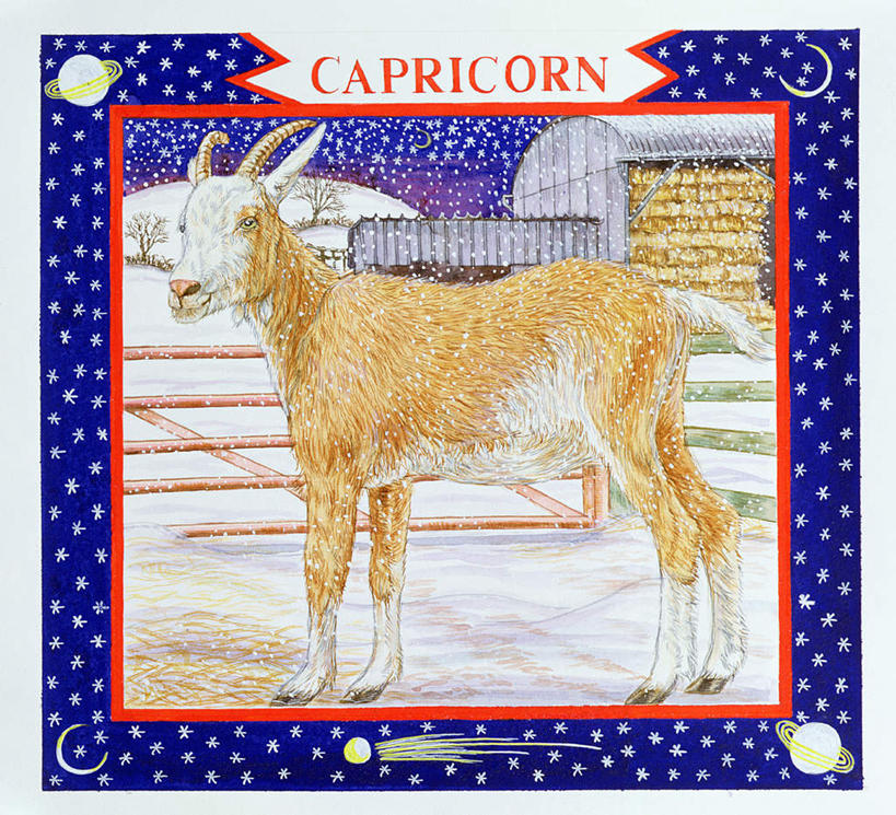 无人,家,栏杆,站,横图,室内,夜晚,背景,侧面,绘画,雪,大雪,羊,油画,艺术,英文,标志,文字,栅栏,字符,字母,房屋,屋子,积雪,篱笆,雪景,月亮,星星,冬季,冬天,围栏,月光,古典,注视,文化,标识,护栏,楼房,住宅,一只,蓝色,动物,工艺品,观察,看,品味,站着,家畜,寒冷,可爱,牲畜,星座,观看,英文字母,明亮,美术,恒星,察看,高雅,关注,气质,占卜,美学,可靠,严寒,皎洁,摩羯座,隐忍,山羊座,配景,绵羊,站立,布景,彩图,全身,房子