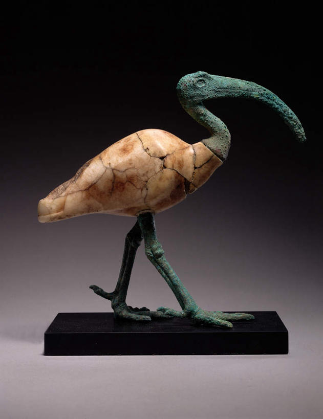 无人,站,竖图,室内,特写,白天,正面,鸟,野生动物,静物,雕塑,灰色背景,艺术,装饰,鸟类,雕刻,雕像,注视,一个,一只,动物,工艺品,观察,看,站着,摄影,影棚,单个,观看,纪念,美术,察看,关注,主题,陈列,朱鹭,功能,美学,日本风头鹮,朱鹮,站立,彩图,全身,影棚拍摄,拍摄