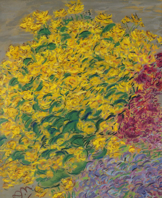 无人,竖图,室内,白天,正面,植物,许多,阴影,盛开,光线,影子,很多,花蕾,蜡笔画,花,花瓣,花朵,鲜花,黄色,红色,绿色,自然,花苞,花蕊,生长,成长,彩图