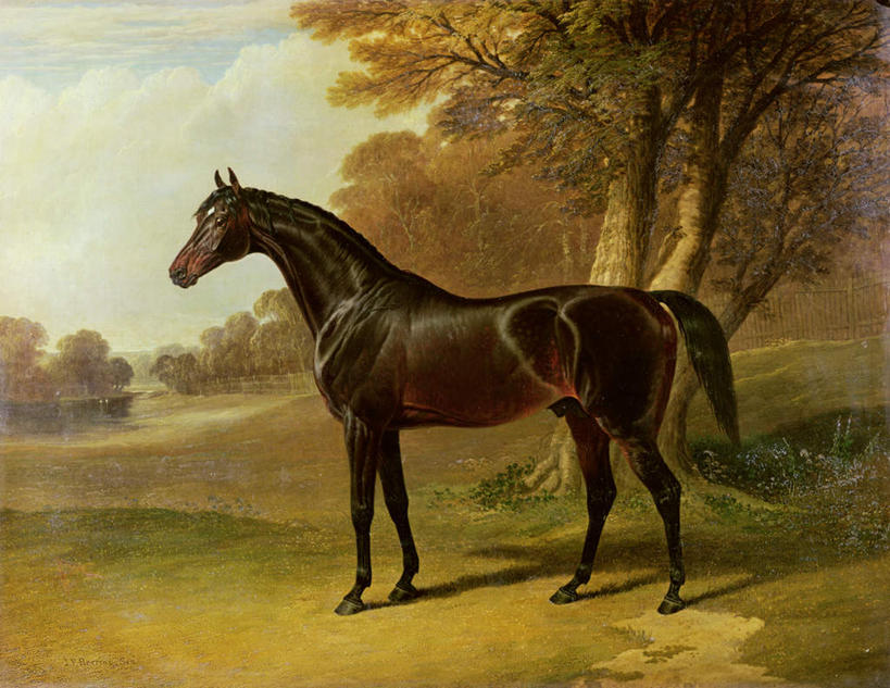 无人,站,横图,室内,白天,侧面,锻炼,绘画,快乐,比赛,运动,竞争,草地,草坪,美景,植物,马,野生动物,油画,阴影,艺术,光线,影子,景观,云,云朵,古典,云彩,注视,文化,娱乐,一匹,草,树,树木,蓝色,绿色,白云,蓝天,天空,阳光,自然,动物,工艺品,天,观察,看,品味,站着,休闲,景色,运输,牲畜,生长,晴朗,成长,观看,美术,察看,高雅,体育运动,关注,自然风光,美学,跑马,体育,赛马,晴空,站立,彩图,全身,健身