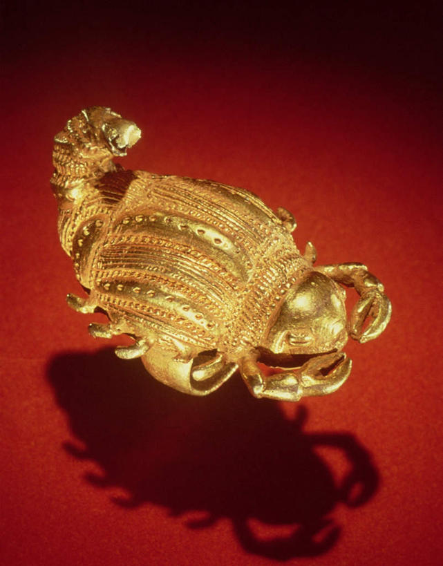 无人,竖图,俯视,室内,特写,白天,珠宝,阴影,红色背景,朦胧,模糊,装饰,光线,影子,一个,动物,金色,摄影,影棚,单个,华丽,修饰,点缀,有毒,节肢动物,蝎子,衬托,美观,雅致,雅观,节足动物,彩图,高角度拍摄,影棚拍摄,拍摄