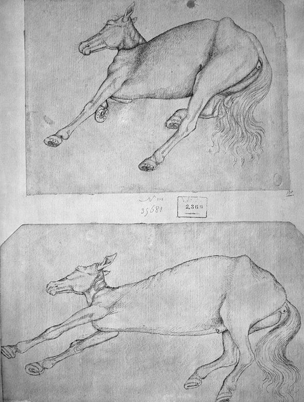 无人,躺,竖图,黑白,室内,白天,正面,绘画,艺术,古典,文化,动物,工艺品,品味,家畜,牲畜,美术,死亡,高雅,两匹,骡子,美学,殒命,灭亡,卧着,躺着,卧,全身