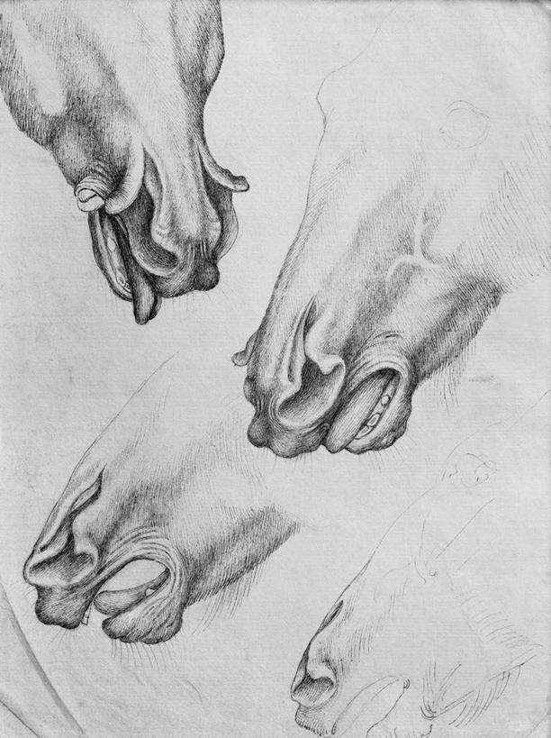 脸,头,脸颊,无人,站,竖图,黑白,室内,白天,正面,绘画,马,野生动物,艺术,古典,注视,文化,吐舌头,四匹,动物,工艺品,观察,看,品味,伸舌头,站着,张嘴,吐舌,运输,牲畜,观看,美术,察看,高雅,关注,张大嘴巴,美学,头部,脸部,脸蛋,面部,张开嘴,站立,半身