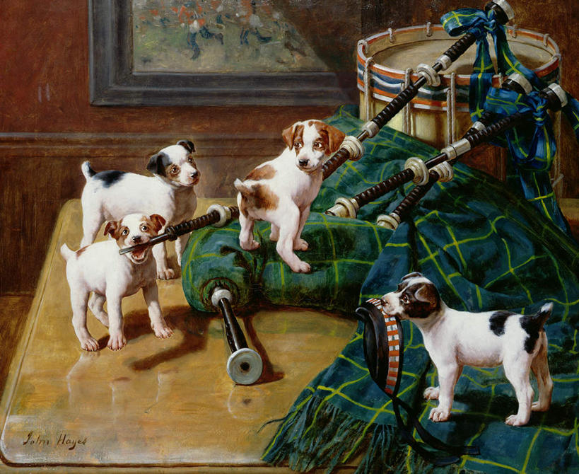 无人,站,横图,室内,白天,正面,民族服装,裙子,绘画,桌面,桌子,宠物,狗,油画,四只,咬,阴影,艺术,光线,木制,影子,鼓,管乐器,架子鼓,乐器,古典,注视,文化,动物,木制品,工艺品,观察,看,品味,站着,可爱,短裙,服饰,观看,半身裙,打击乐器,美术,咬着,察看,高雅,关注,欧洲文化,忠诚,爵士鼓,美学,苏格兰短裙,风笛,风袋管,犬,站立,彩图,全身,传统服装,民俗服