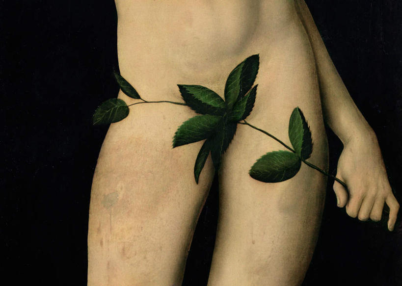 西方人,手,一个人,无人,横图,室内,特写,白天,正面,绘画,植物,叶子,油画,欧洲,欧洲人,仅一个年轻女性,仅一个女性,仅一个人,握,黑色背景,艺术,绿叶,枝条,古典,拿,拿着,文化,裸露,树,树木,树枝,工艺品,品味,手部,嫩叶,握着,遮,遮掩,单手,美术,掩盖,高雅,遮挡,裸,遮盖,美学,掩饰,虬枝,枝杈,夏娃,年轻女性,女人,女性,白种人,叶,叶片,半身,彩图