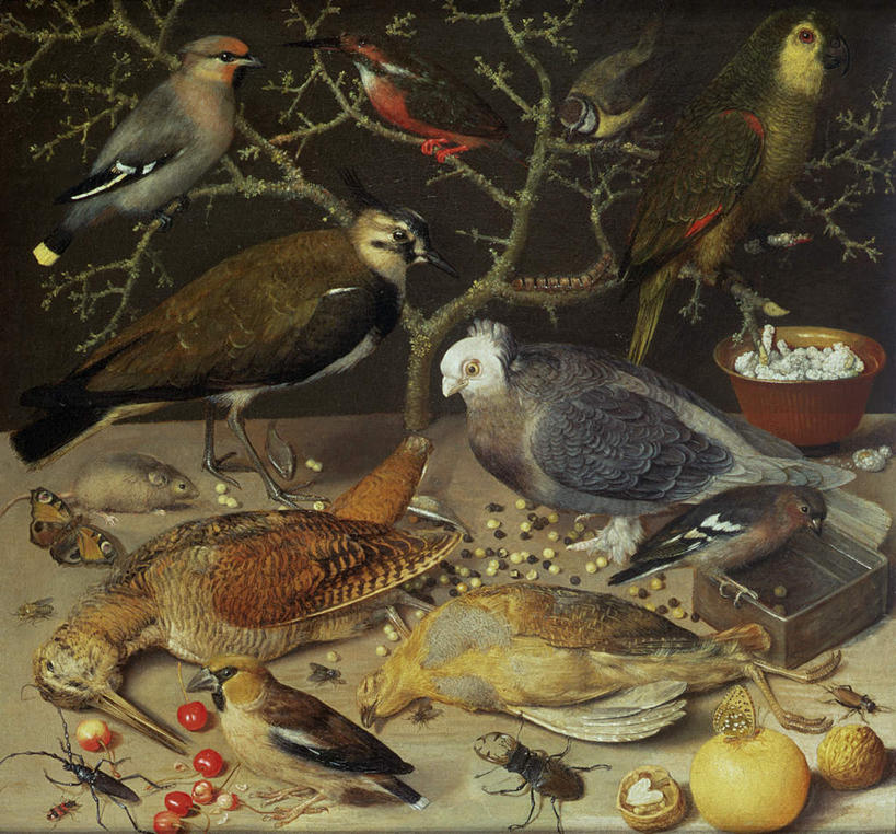 无人,横图,室内,白天,正面,绘画,餐桌,桌子,翠鸟,鸟,野生动物,老鼠,鹦鹉,蝴蝶,蟑螂,浆果,樱桃,水果,油画,新鲜,艺术,细菌,鸟类,昆虫,核桃,桑葚,桑椹,生食,食品,坚果,果实,甲壳虫,古典,文化,食物,动物,工艺品,干果,覆盆子,品味,可爱,活泼,有机食品,绿色食品,餐台,美术,高雅,甲虫,益虫,病菌,胡桃,美学,害虫,传染,四害,羌桃,小强,观赏鸟,苍头燕雀,燕雀,鱼虎,鱼狗,耗子,大翠鸟,蜚蠊,樱珠,莺桃,英桃,楔桃,牛桃,荆桃,彩图,全身