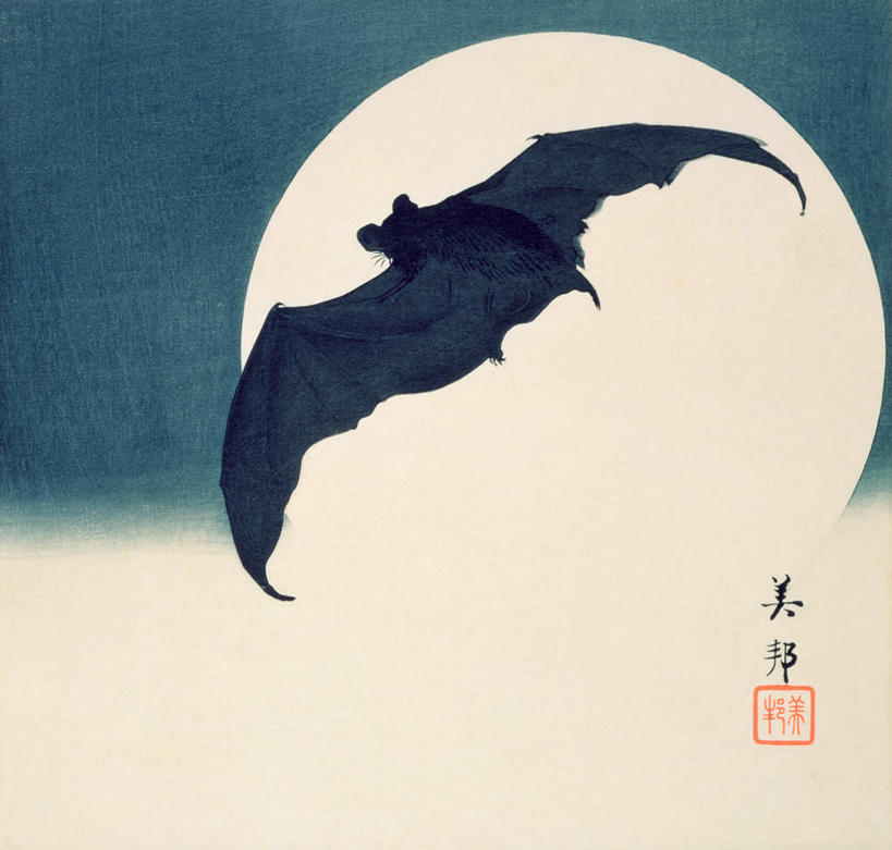 无人,横图,室内,白天,正面,绘画,蝙蝠,野生动物,油画,飞翔,伸展,张开,展翅,艺术,飞行,细菌,英文,翅膀,标志,文字,字符,字母,月亮,月光,翱翔,古典,文化,标识,飞,一只,动物,工艺品,品味,英文字母,明亮,美术,高雅,病菌,张开翅膀,美学,传染,皎洁,伏翼,老鼠皮翼,天鼠,夜燕,展开翅膀,仙鼠,彩图,全身