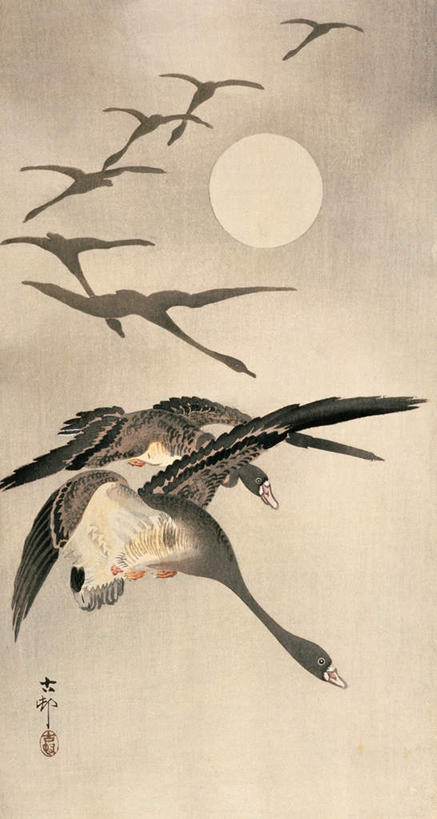 无人,竖图,室内,白天,仰视,绘画,鸟,一排,飞翔,伸展,张开,展翅,曲折,弯曲,艺术,整齐,飞行,翅膀,鸟类,月亮,满月,月光,翱翔,古典,文化,飞,排列,工艺品,品味,蜿蜒,明亮,美术,雁,高雅,队列,国画,水墨画,张开翅膀,美学,皎洁,水墨,展开翅膀,彩图,低角度拍摄,全身